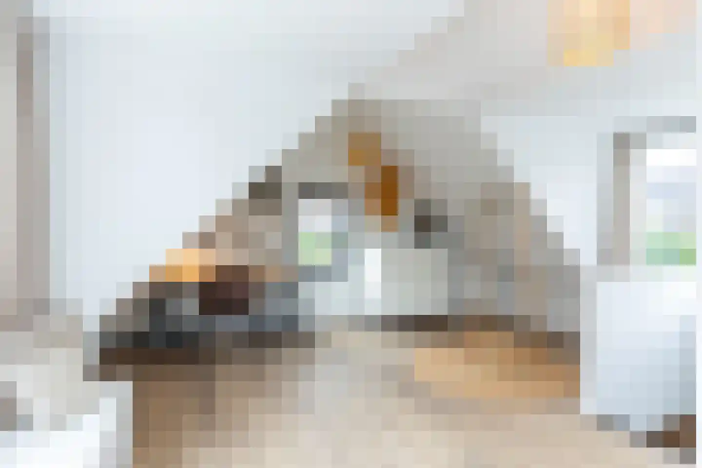 Elsweg 48 Apeldoorn thumbnail 19