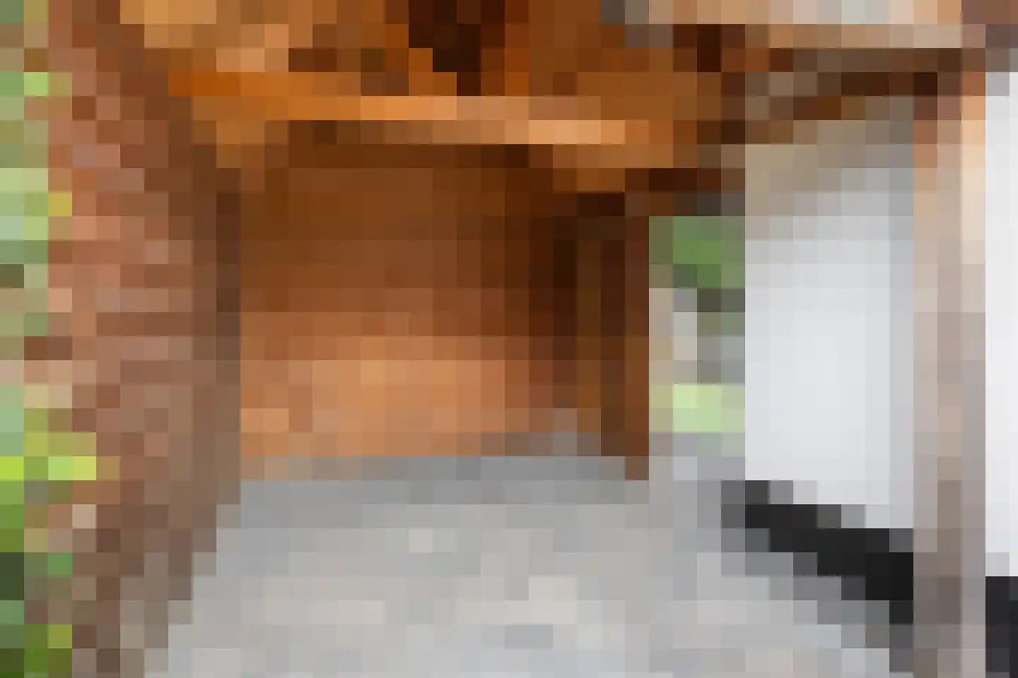 Elsweg 48 Apeldoorn thumbnail 26