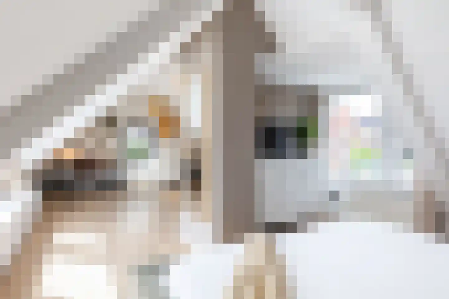 Elsweg 48 Apeldoorn thumbnail 4