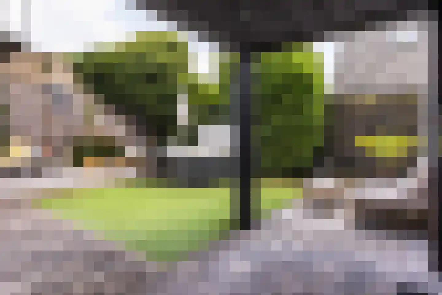 Elsweg 48 Apeldoorn thumbnail 5