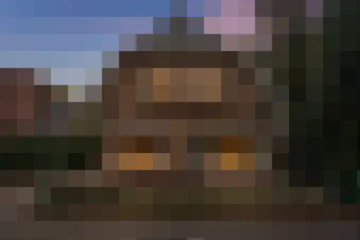 Elsweg 56 in Apeldoorn