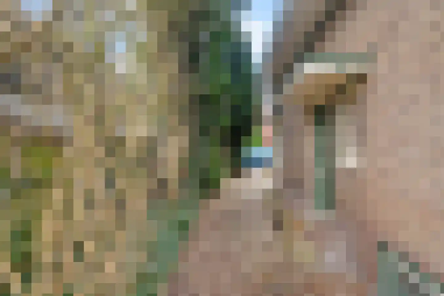 Elsweg 56 Apeldoorn thumbnail 4