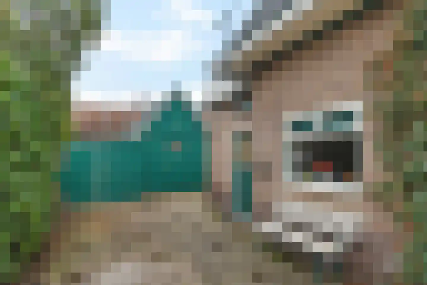 Elsweg 56 Apeldoorn thumbnail 42