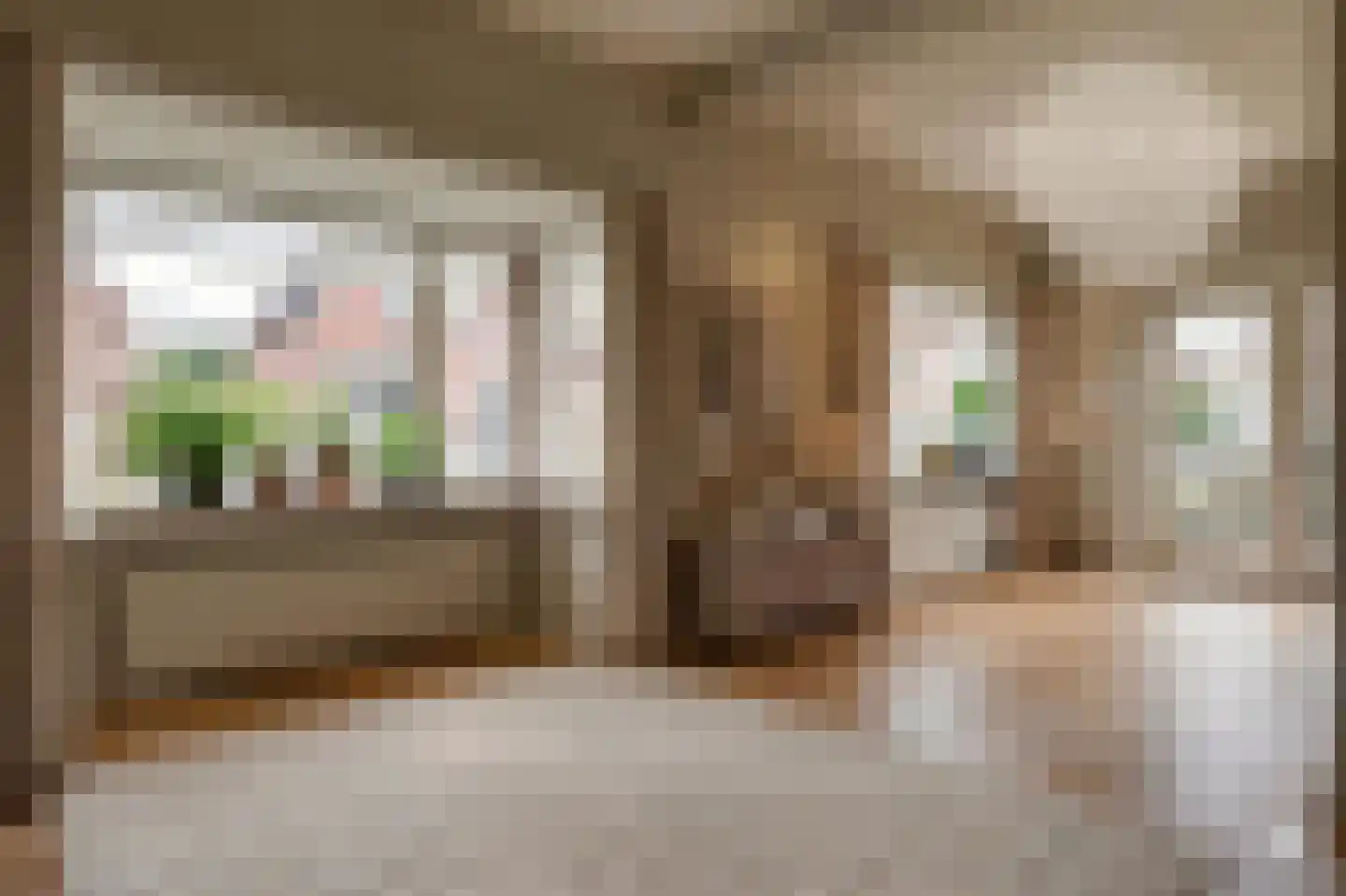 Elsweg 56 Apeldoorn thumbnail 7