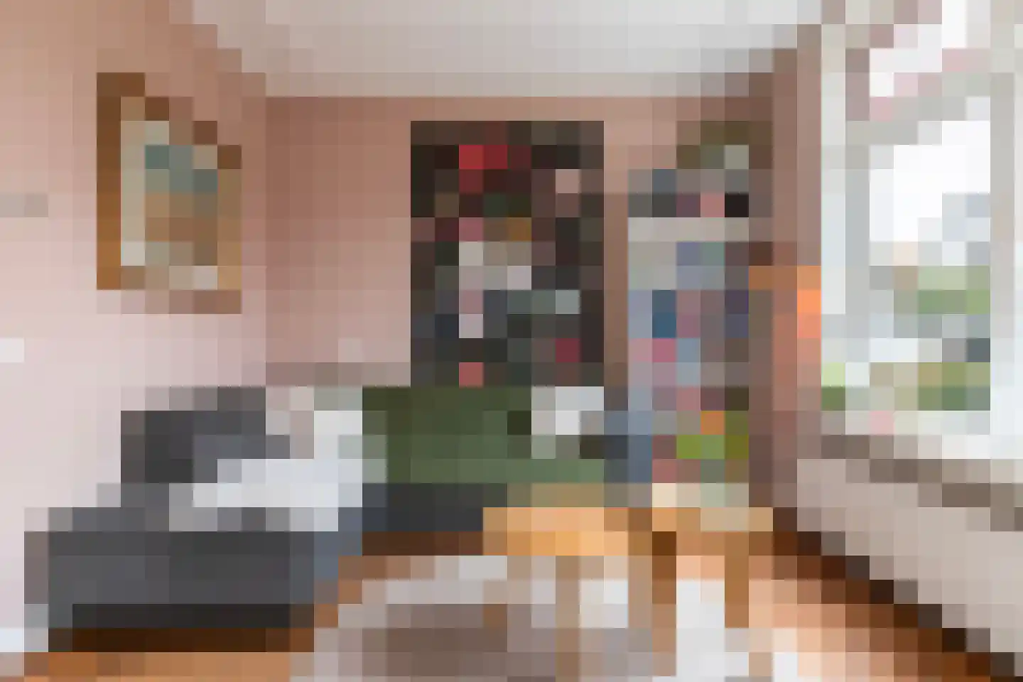 Elsweg 57 Apeldoorn thumbnail 13