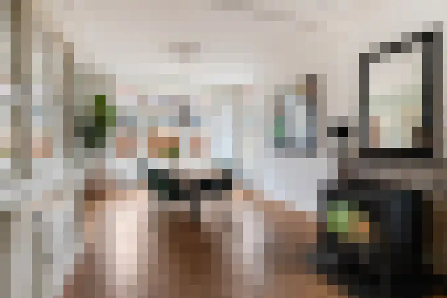 Elsweg 57 Apeldoorn thumbnail 9