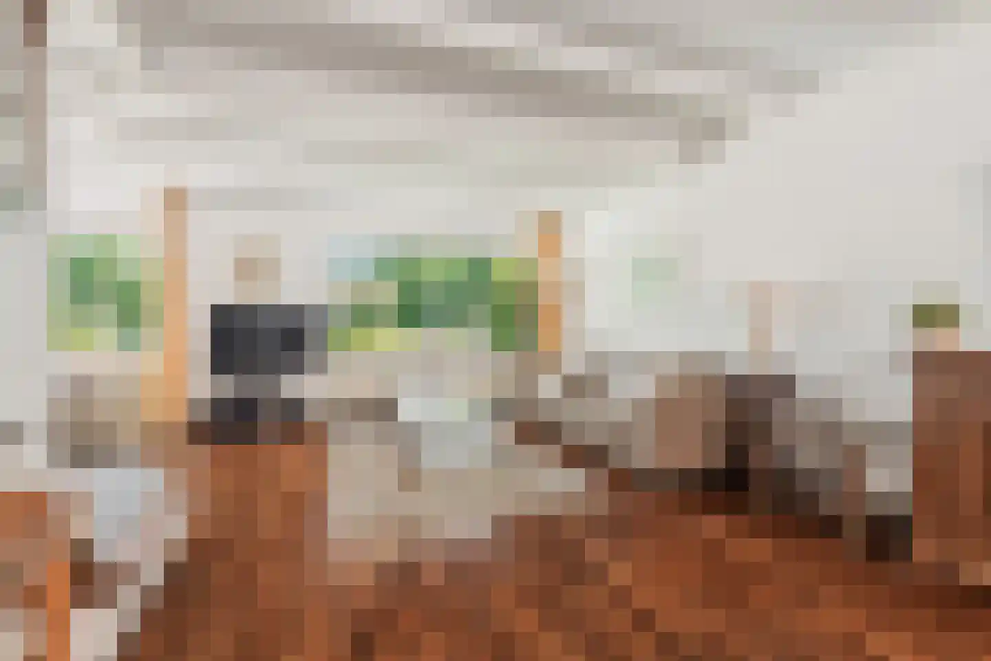 Elsweide 63 Zevenaar thumbnail 8