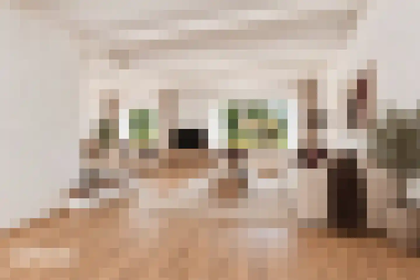 Elsweide 63 Zevenaar thumbnail 9