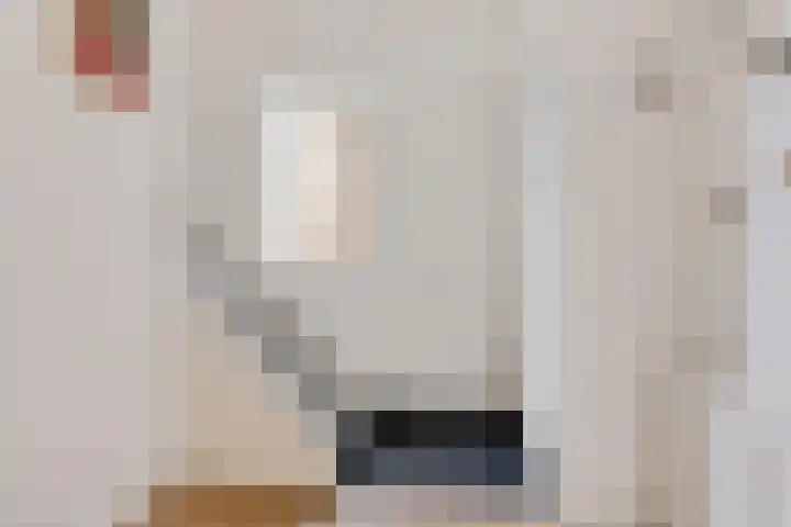Elswout 21 Eindhoven thumbnail 10