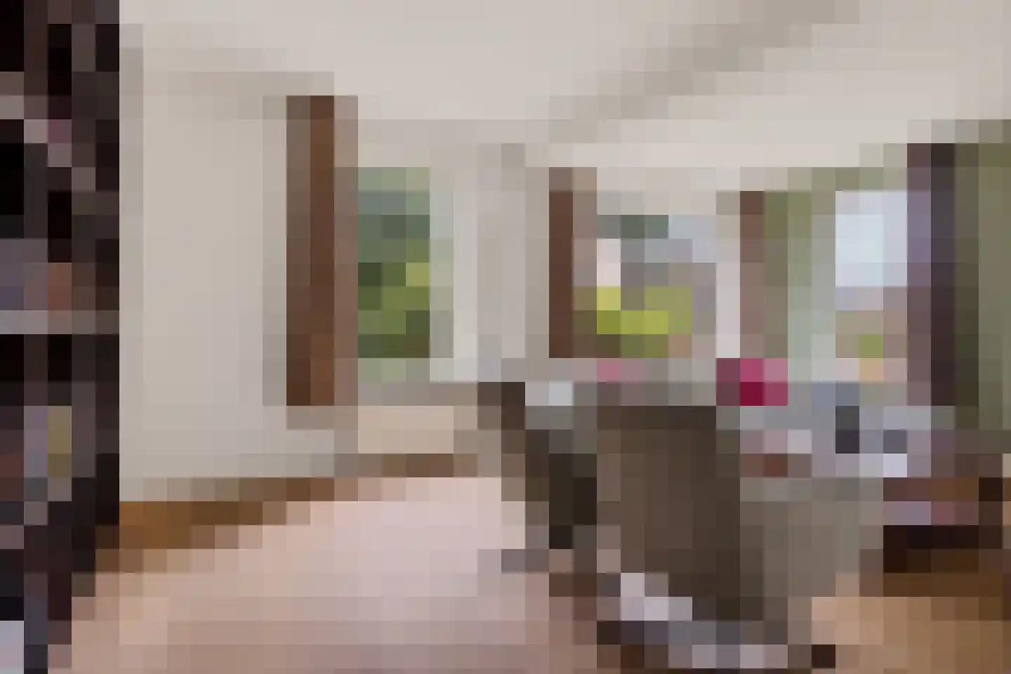 Elswout 21 Eindhoven thumbnail 14