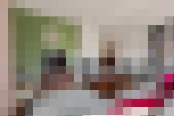 Elswout 21 Eindhoven thumbnail 17