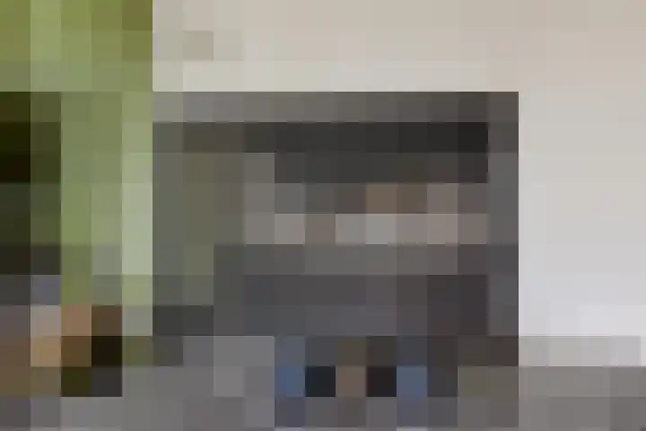 Elswout 21 Eindhoven thumbnail 18