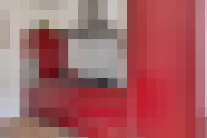 Elswout 21 Eindhoven thumbnail 22
