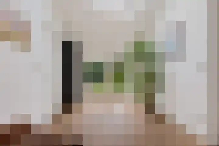 Elswout 21 Eindhoven thumbnail 25