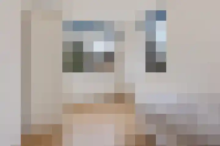 Elswout 21 Eindhoven thumbnail 31