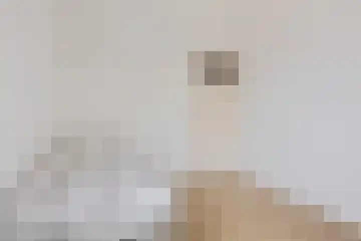 Elswout 21 Eindhoven thumbnail 32
