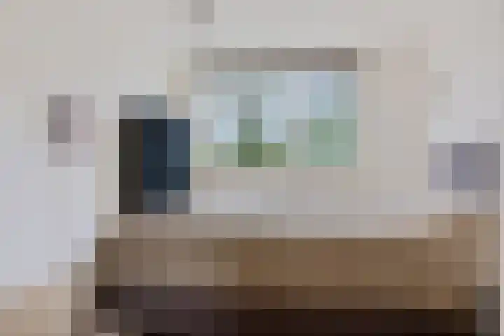 Elswout 21 Eindhoven thumbnail 33