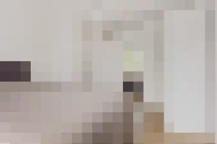 Elswout 21 Eindhoven thumbnail 35