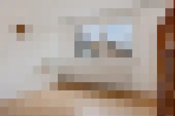 Elswout 21 Eindhoven thumbnail 36