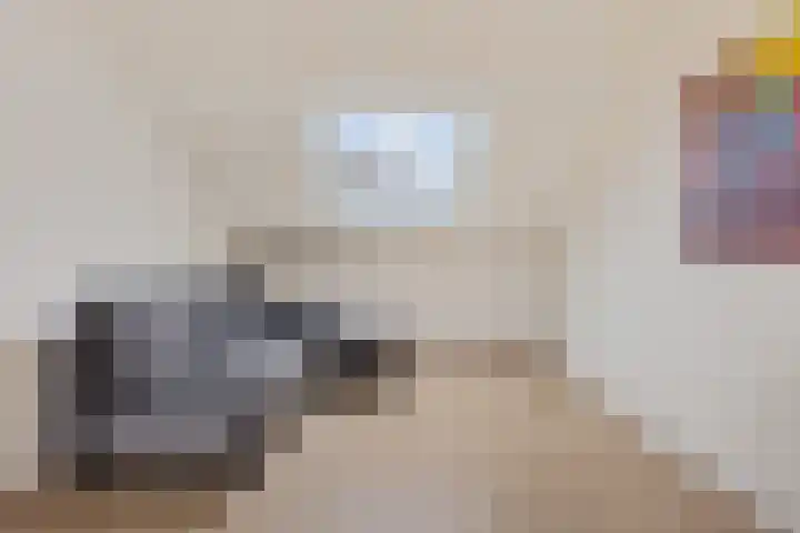 Elswout 21 Eindhoven thumbnail 45