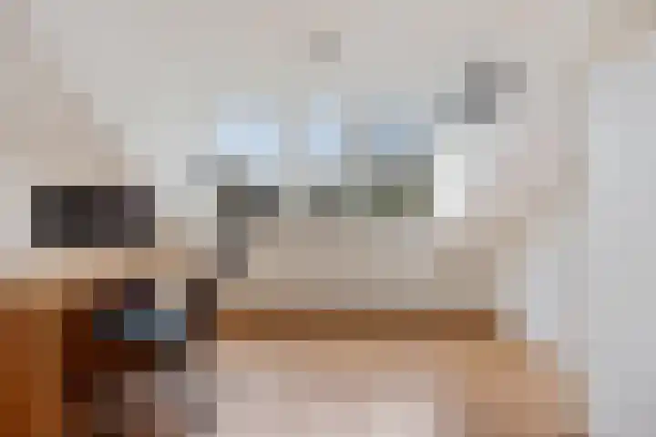 Elswout 21 Eindhoven thumbnail 48