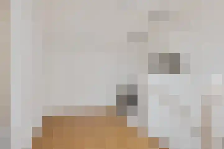 Elswout 21 Eindhoven thumbnail 49