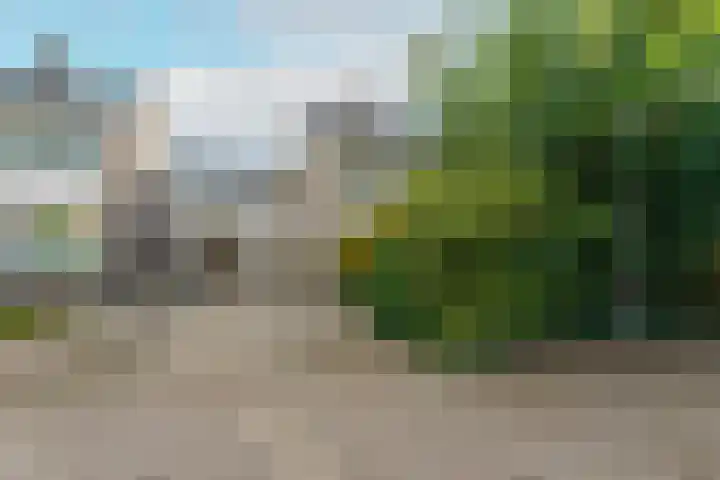 Elswout 21 Eindhoven thumbnail 5