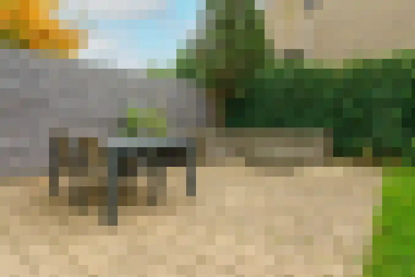 Elswout 21 Eindhoven thumbnail 53