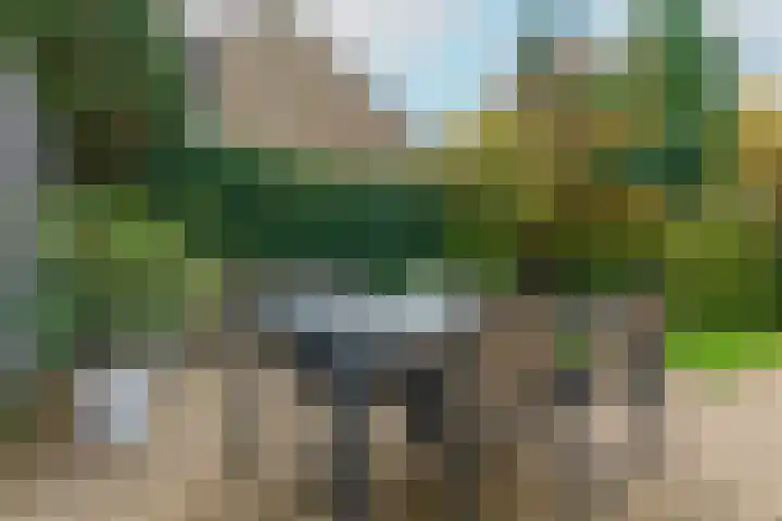 Elswout 21 Eindhoven thumbnail 54
