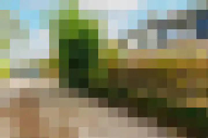 Elswout 21 Eindhoven thumbnail 6