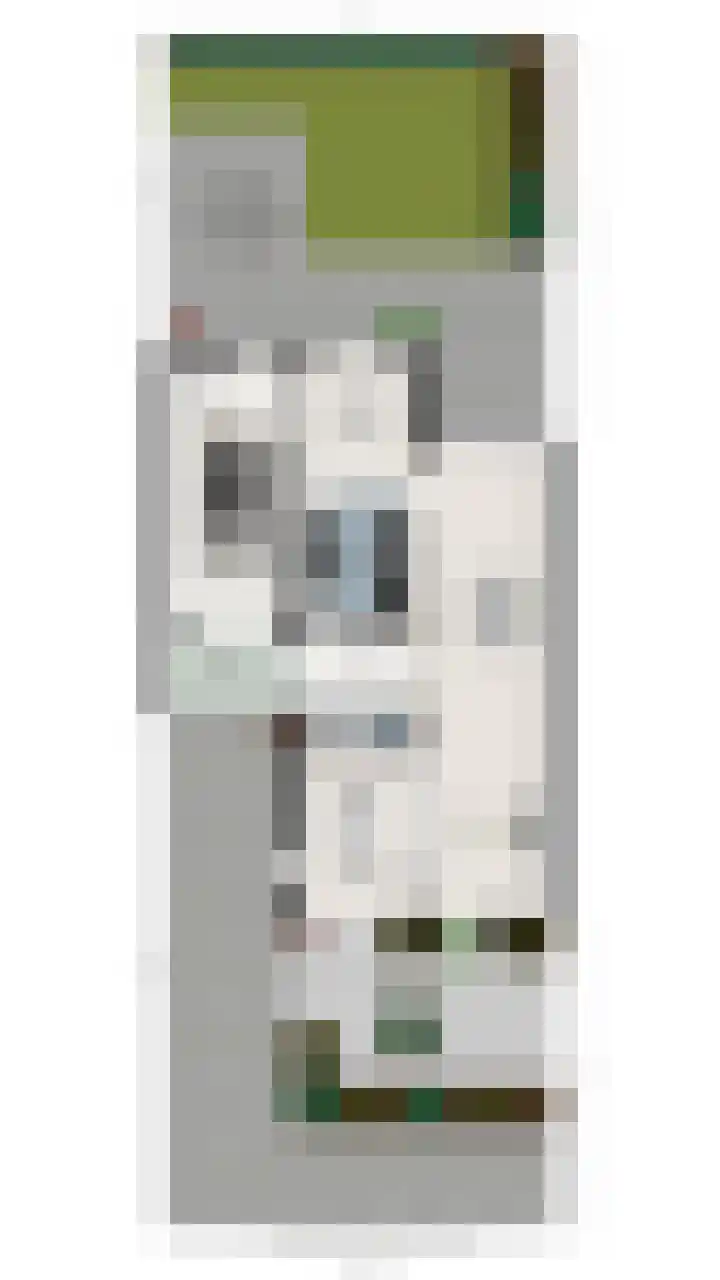 Elswout 21 Eindhoven thumbnail 61