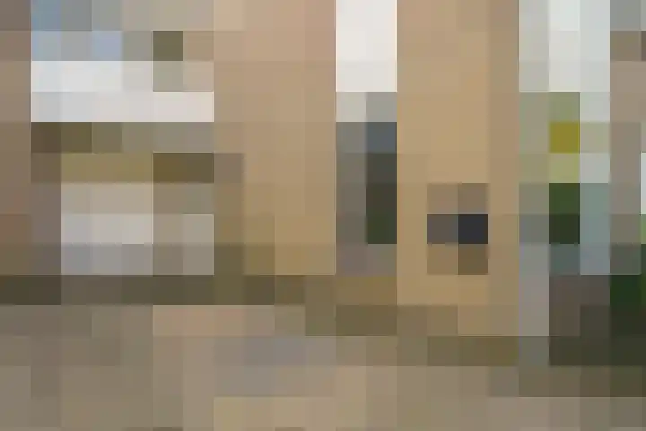 Elswout 21 Eindhoven thumbnail 7