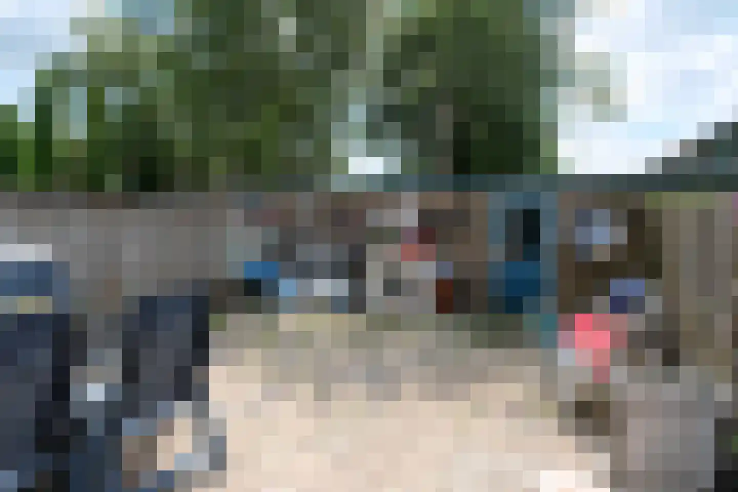 Elswout 59 Almelo thumbnail 14