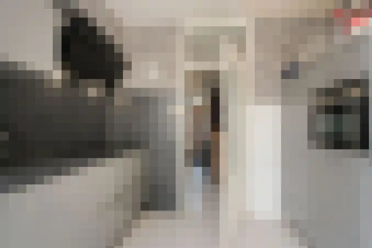 Elswout 59 Almelo thumbnail 7