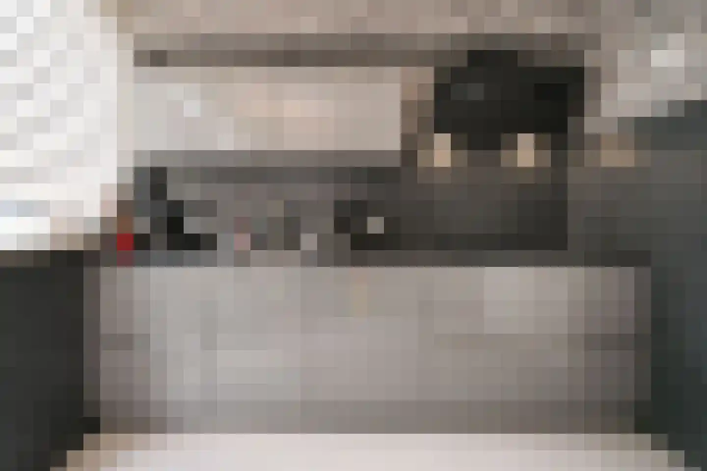 Elswout 59 Almelo thumbnail 8