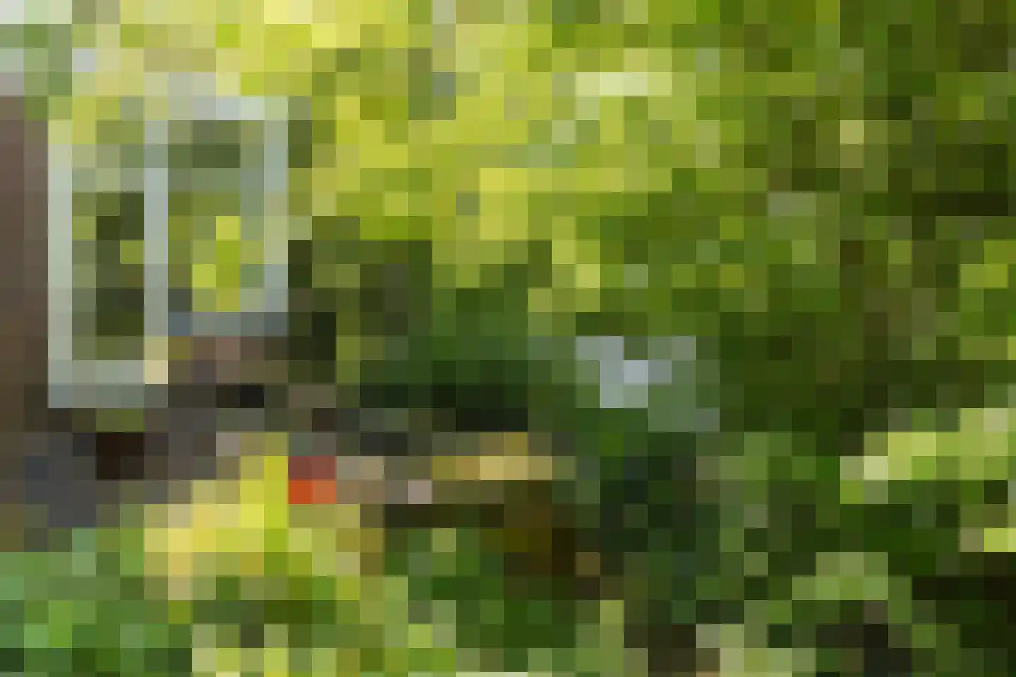 Elte Martens Beimastrjitte 1 Eastermar thumbnail 10