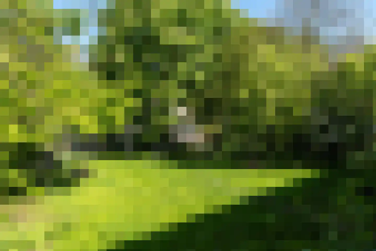 Elte Martens Beimastrjitte 1 Eastermar thumbnail 11
