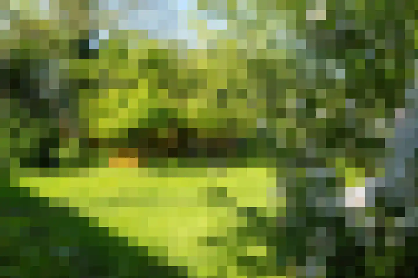Elte Martens Beimastrjitte 1 Eastermar thumbnail 12