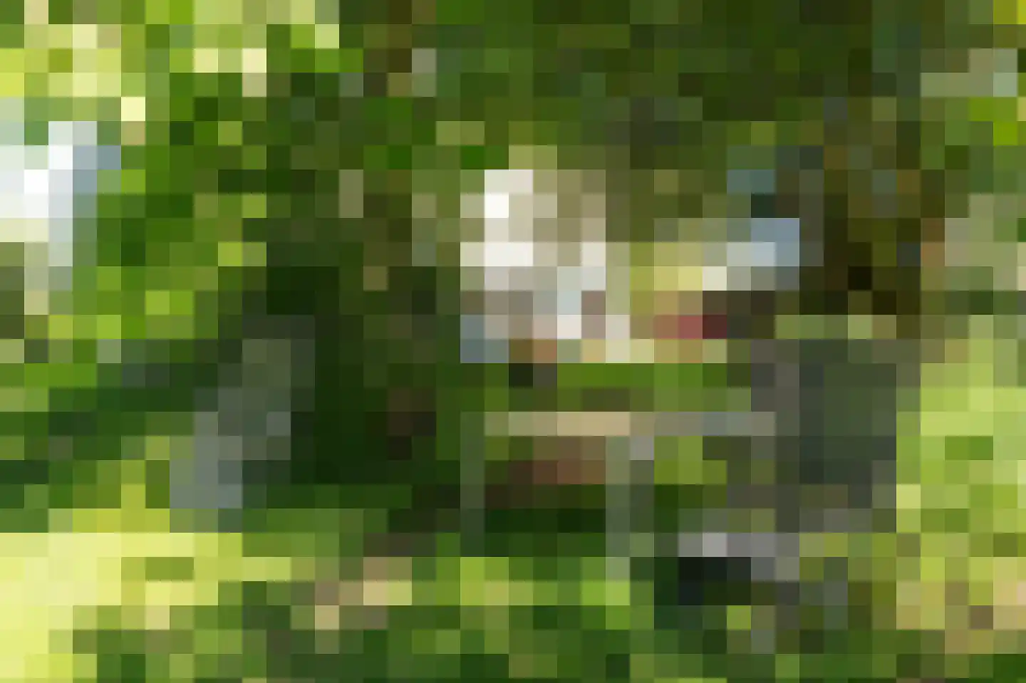 Elte Martens Beimastrjitte 1 Eastermar thumbnail 13