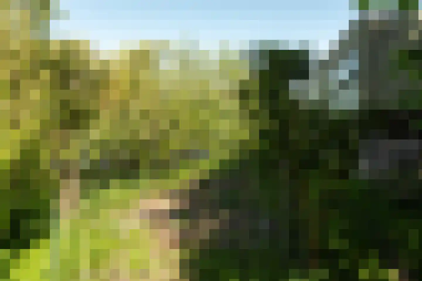 Elte Martens Beimastrjitte 1 Eastermar thumbnail 14