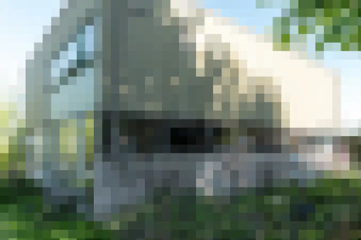 Elte Martens Beimastrjitte 1 Eastermar thumbnail 15