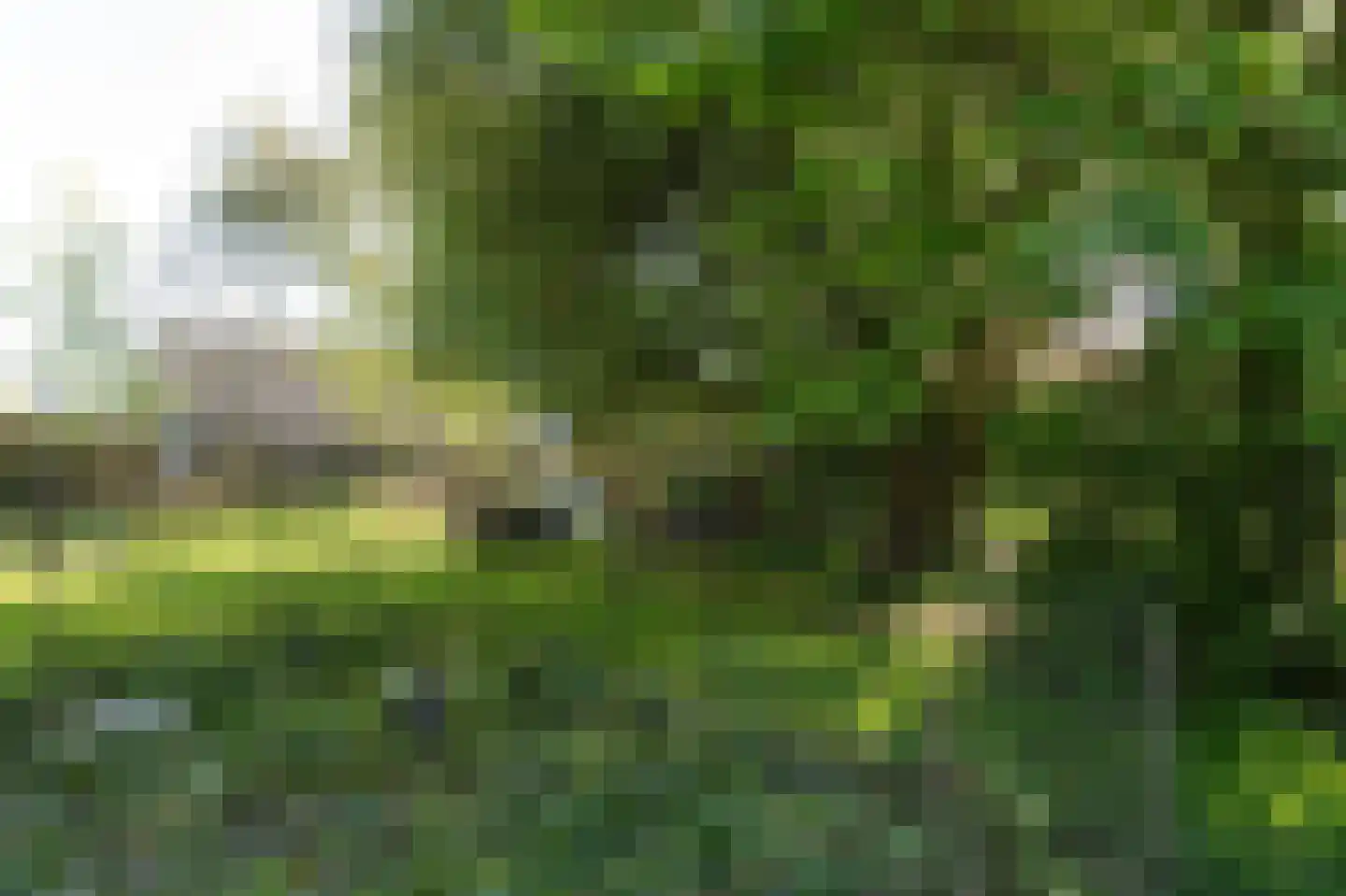 Elte Martens Beimastrjitte 1 Eastermar thumbnail 17