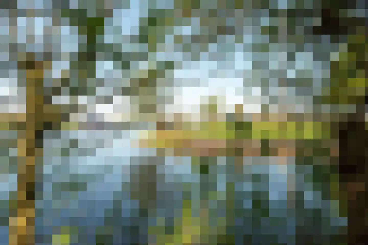 Elte Martens Beimastrjitte 1 Eastermar thumbnail 18