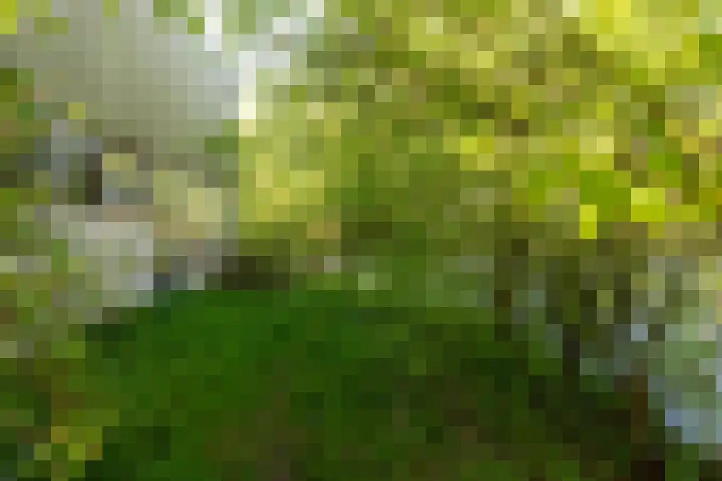 Elte Martens Beimastrjitte 1 Eastermar thumbnail 19