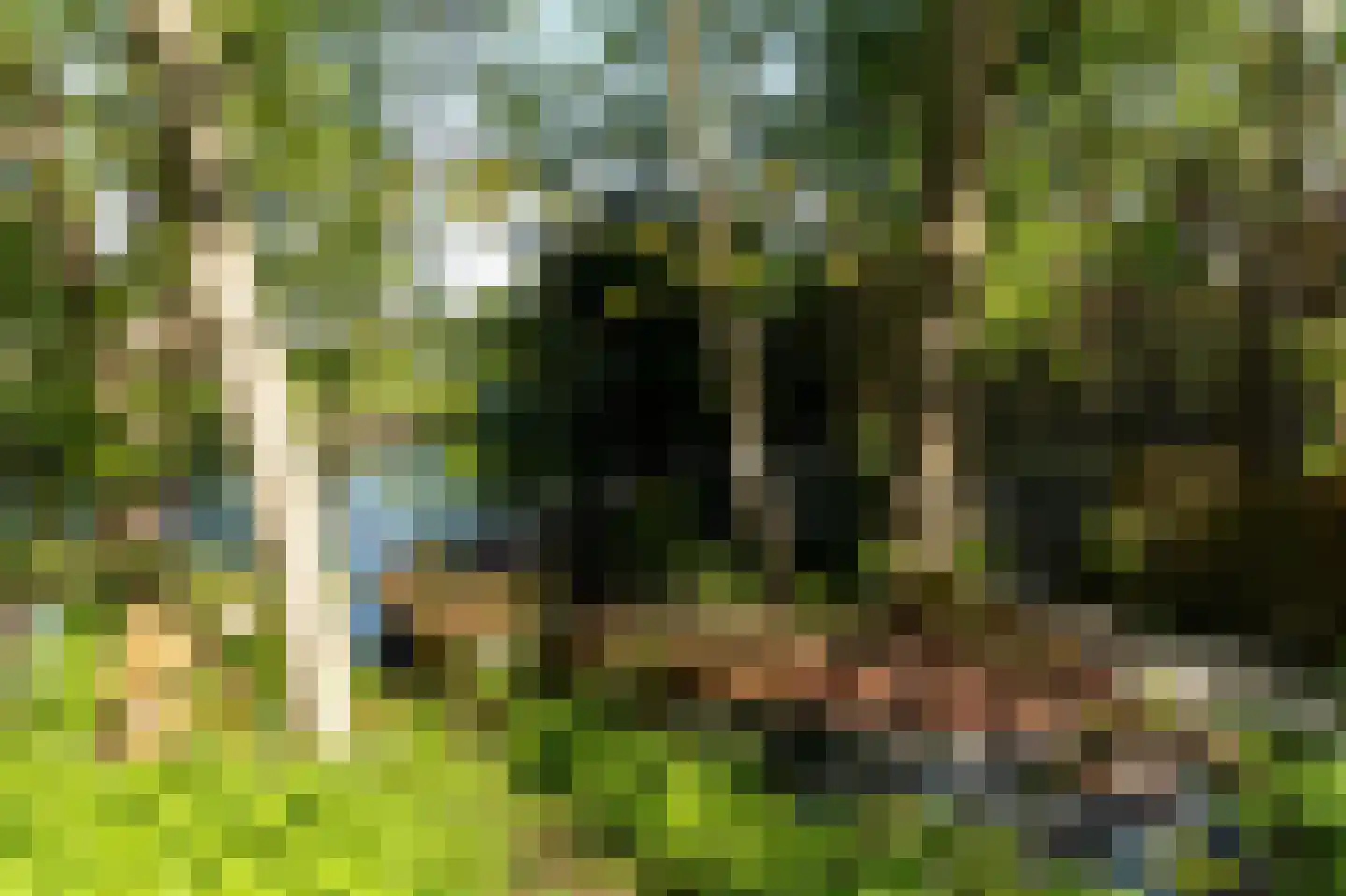 Elte Martens Beimastrjitte 1 Eastermar thumbnail 20