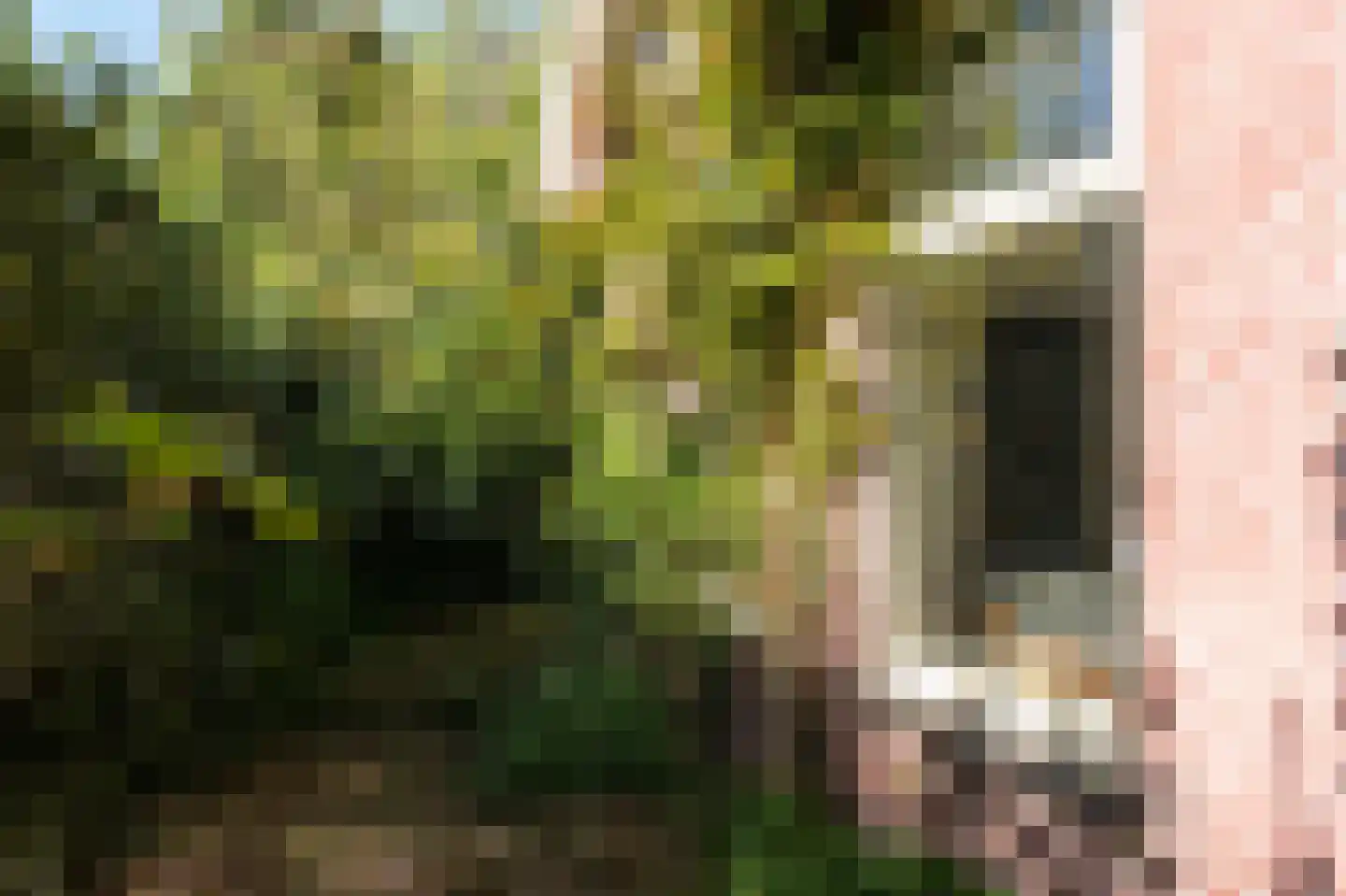Elte Martens Beimastrjitte 1 Eastermar thumbnail 21