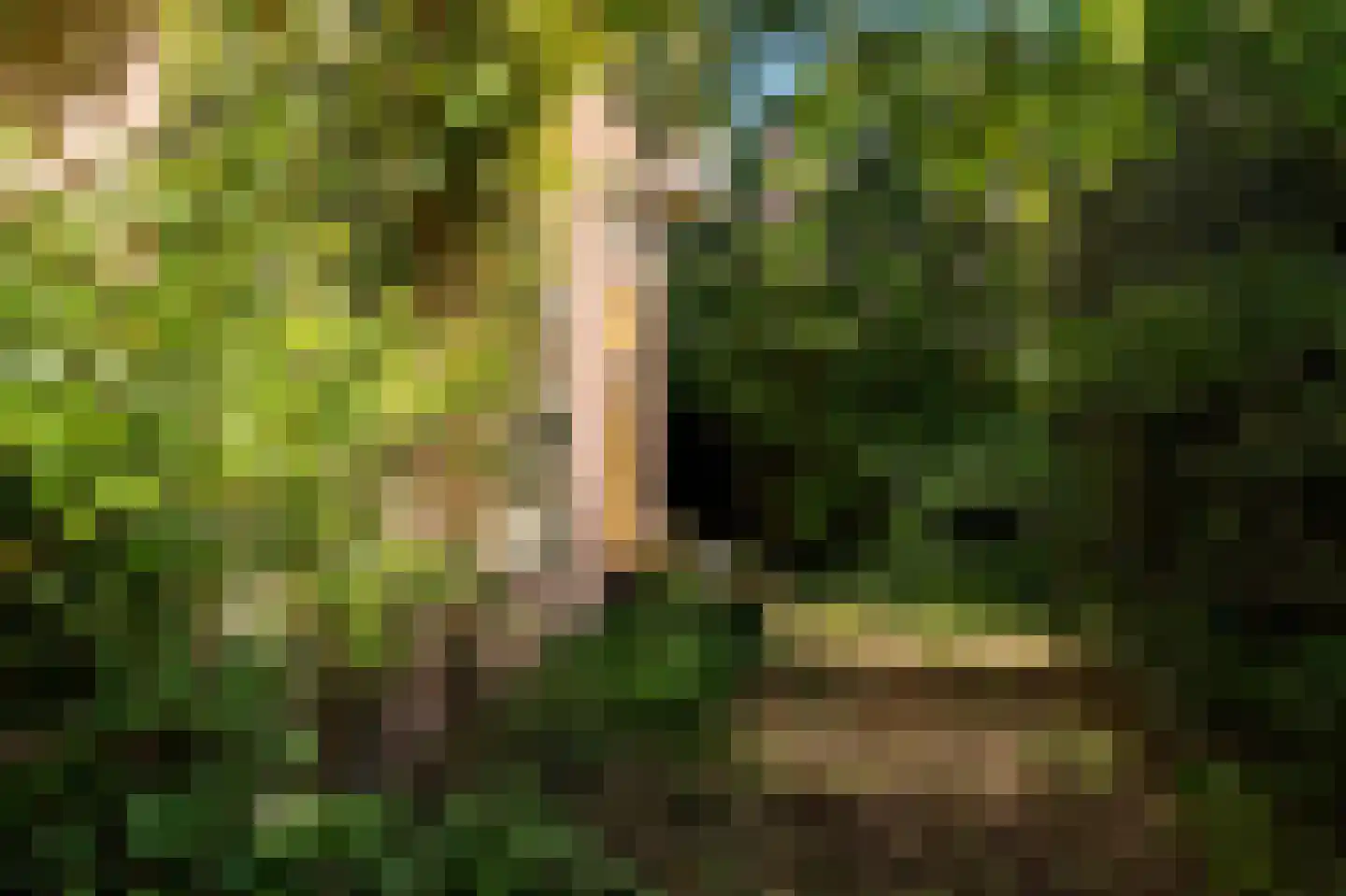 Elte Martens Beimastrjitte 1 Eastermar thumbnail 22