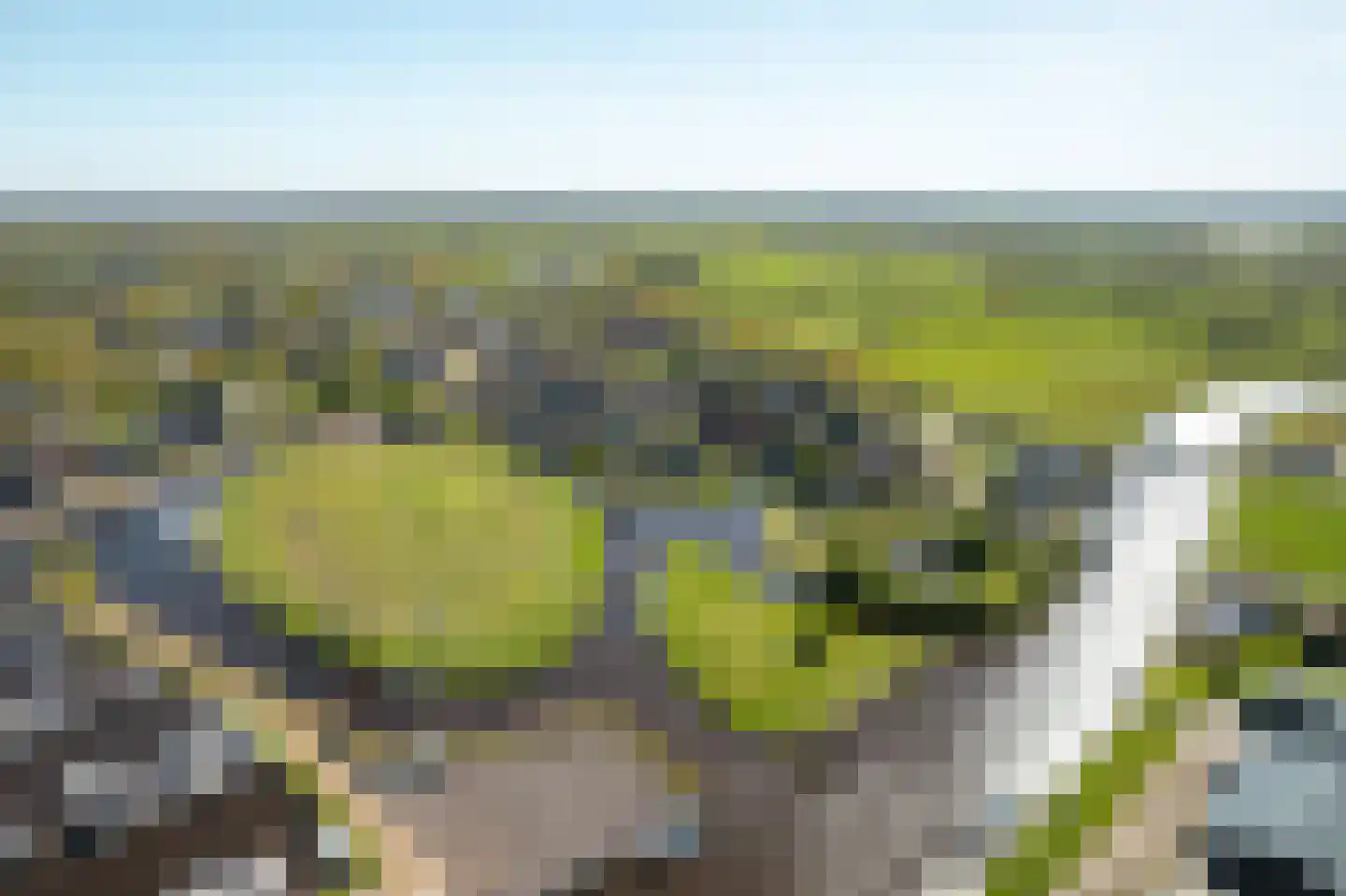 Elte Martens Beimastrjitte 1 Eastermar thumbnail 24
