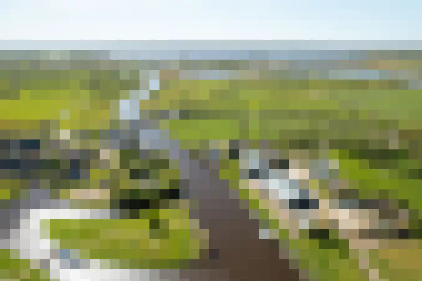 Elte Martens Beimastrjitte 1 Eastermar thumbnail 25