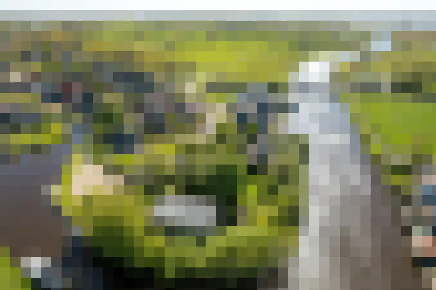 Elte Martens Beimastrjitte 1 Eastermar thumbnail 26